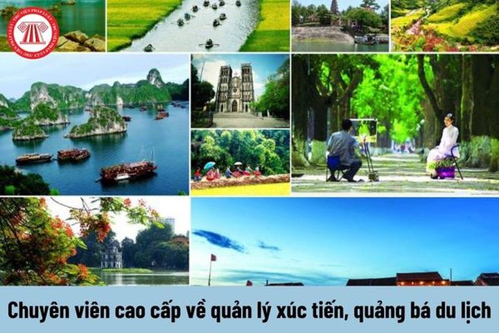 Săn Lùng Giấc Mơ: Chia sẻ đam mê, kết nối cộng đồng với Hotspot Matrix