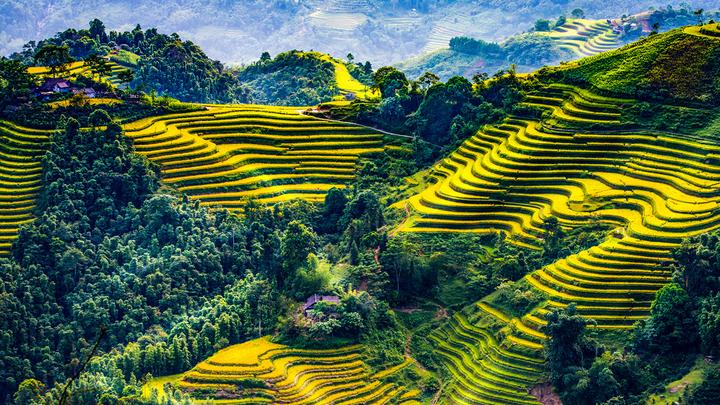 Giảm Chi Phí Khởi Nghiệp Video Ngắn cùng Hotspot Matrix
