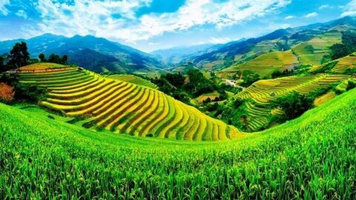 Hotspot Matrix: Tự động hóa hiệu suất với công nghệ tích hợp tài nguyên